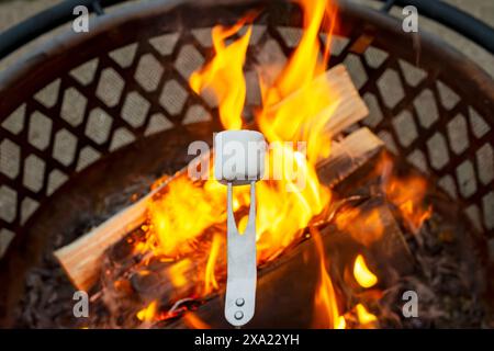 Focus is on a mashmallow stuck on a fork for roasting.  Fire blurred in background. Stock Photo