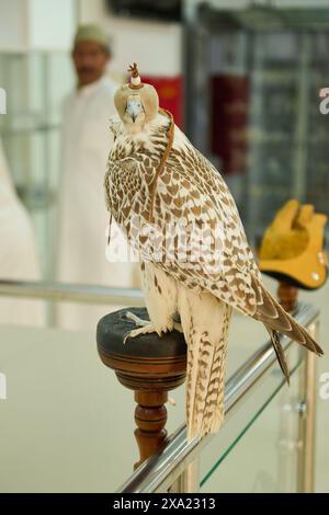 White bird with brown and black feathers perched on metal railing Stock Photo