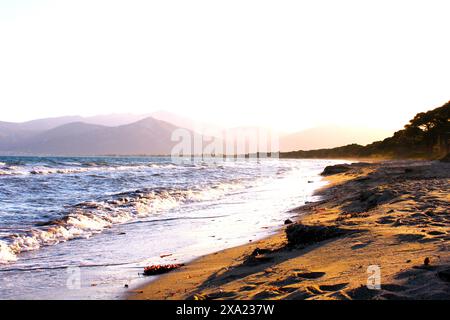 Sandy beach with trees, water, and distant mountains Stock Photo