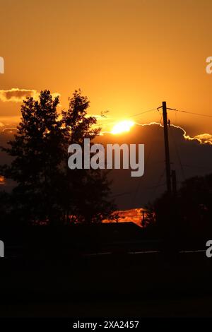 A tree silhouetted against a sunset sky Stock Photo