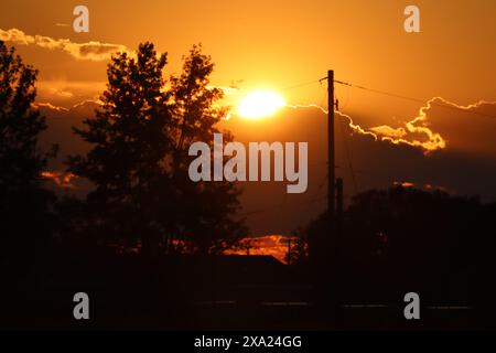 The sun setting behind trees and utility post against cloudy sky Stock Photo