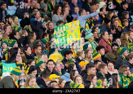 Sydney, Australia. 03rd June, 2024. Australian fans show their support during the international friendly match between Australia and China PR at Accor Stadium on June 3, 2024 in Sydney, Australia Credit: IOIO IMAGES/Alamy Live News Stock Photo