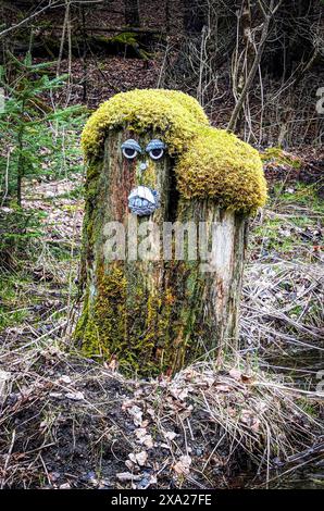 An old tree stump with a face and mossy hair Stock Photo