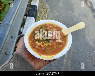 A person holding a delicious Indian street food, Khasta Kachori Chaat, a popular dish from Delhi Stock Photo