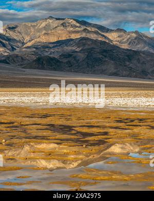 Salt Creek, Wildrose Peak, Death Valley National Park, California Stock Photo