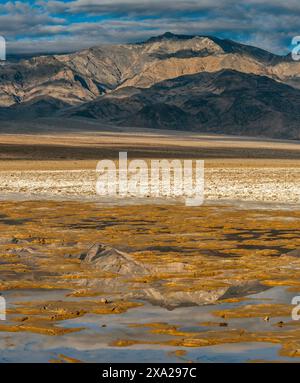 Salt Creek, Wildrose Peak, Death Valley National Park, California Stock Photo