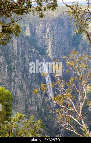 Wollemombi waterfall falls in Oxley Rivers national park, Australia's second largest waterfall, with chandler falls beside,NSW,Australia Stock Photo