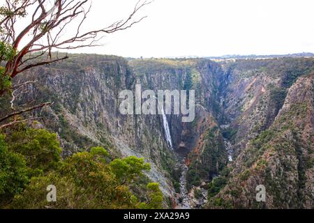 Wollemombi waterfall falls in Oxley Rivers national park, Australia's second largest waterfall, with chandler falls beside,NSW,Australia Stock Photo