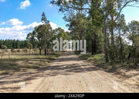 Gravel road through Oxley wild rivers national park leading to Dangars falls, bush road track,NSW,Australia Stock Photo