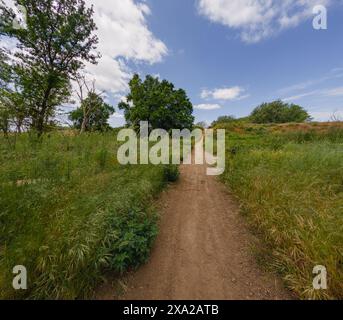 A scenic dirt road winding through trees and bushes beside a field Stock Photo