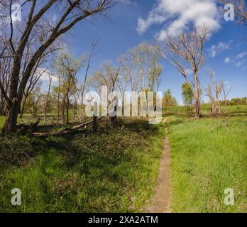 A scenic dirt road winding through trees and bushes beside a field Stock Photo