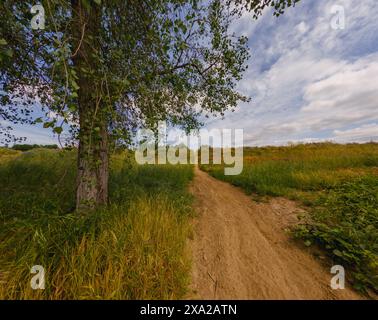 A scenic dirt road winding through trees and bushes beside a field Stock Photo