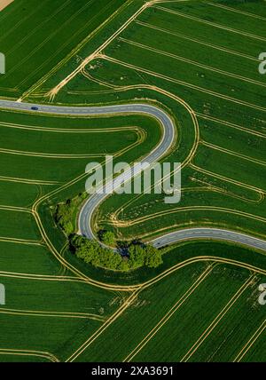 Aerial view, serpentine of the state road L863, serpentine road leads through green striped fields, group of trees at the roadside, Erkeln, Brakel, Ea Stock Photo