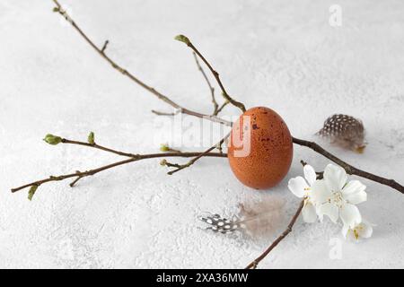 Still life with brown hen's egg, feathers and twig Stock Photo