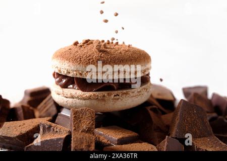 Chocolate macaron Stock Photo