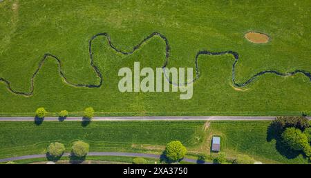 Aerial view, river meander Hunderbecke, natural landscape, three trees along a road, Brilon, Sauerland, North Rhine-Westphalia, Germany Stock Photo