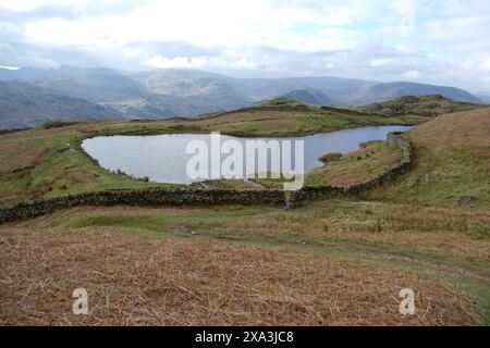 Alcock Tarn near Grasmere from the Path to the Wainwright 'Nab Scar' in the Lake District National Park, Cumbria, England, UK. Stock Photo