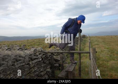 Man (Hiker) Climbing Wooden Step Over Stile Between Stone Wall & Fence on the Summit of Aye Gill Pike, Yorkshire Dales National Park, England, UK. Stock Photo