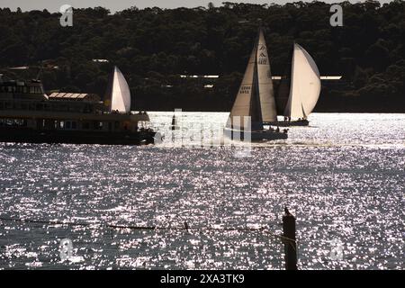 A Sydney ferry and yachts racing on Sydney Harbour across shimmering water and the beach net at Nielsen Park in Vaucluse on a sunny afternoon Stock Photo