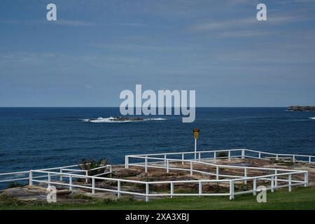 A maze of white wooden railings on the cliffs above Coogee bay, looking out towards wedding cake rock, Sydney, Australia Stock Photo