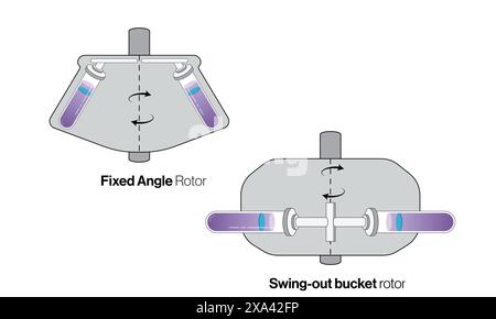 Detailed Vector Illustration of Types of Centrifuge Rotors: Fixed Angle and Swing Bucket Rotors in Laboratory Centrifugation on White Background Stock Vector