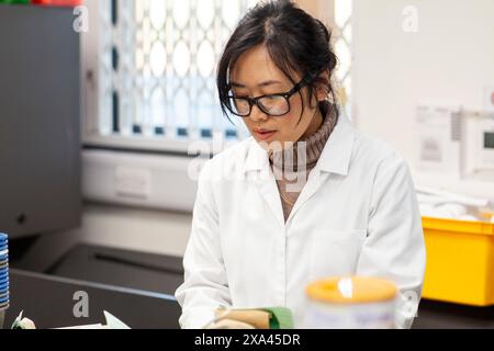 Scientist working in a laboratory Stock Photo
