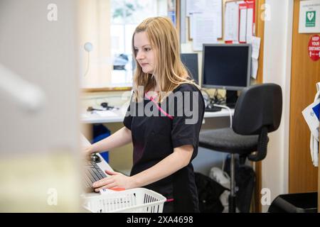 Woman working on a computer in an office setting. Stock Photo