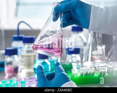 Close-up of a scientist's hands holding a flask with pink liquid in a lab. Stock Photo