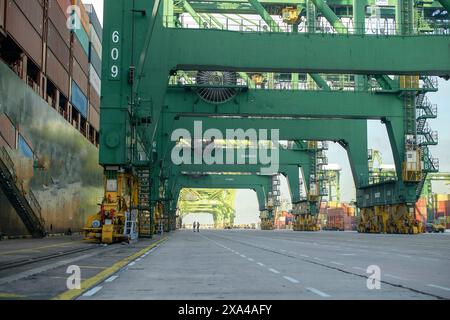 A busy container port with towering green gantry cranes lined up, facilitating the loading and unloading of cargo from a large ship. Stock Photo
