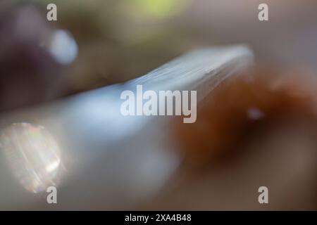 This is a close-up, blurred image focusing on a smooth, reflective surface with soft lighting and bokeh effect in the background. Stock Photo