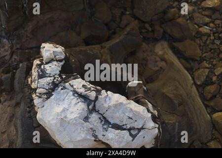 Close-up photography of a white cracked stone on dark rocky seacoast at Adriatic sea in Croatia Stock Photo