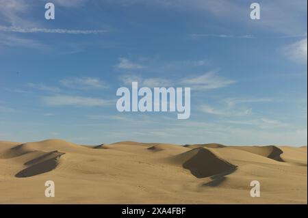 Gentle waves of golden sand dunes stretch under a bright blue sky with wispy clouds. Stock Photo