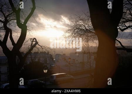 A serene sunset behind silhouetted trees overlooking a cityscape with buildings and parked cars. Stock Photo
