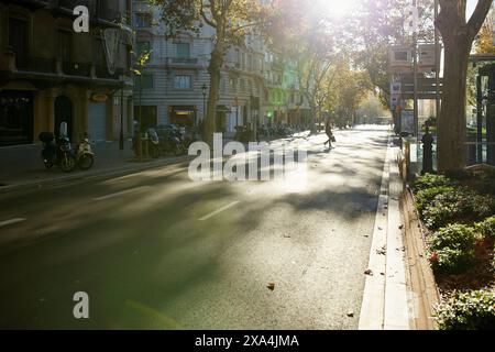 The image captures a tree-lined city street bathed in sunlight, with shadows of trees cast on the pavement, a cyclist in the distance, and parked motorcycles alongside the sidewalk. Stock Photo