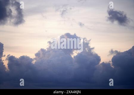A serene skyscape showing fluffy cumulus clouds basked in the soft light of either dawn or dusk, with hues of blue and gentle gradients of light. Stock Photo