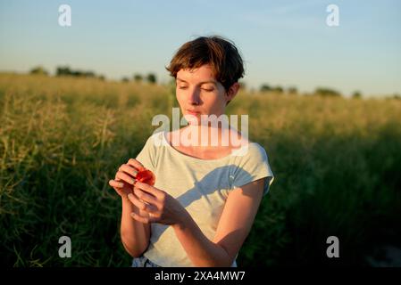 A short-haired woman in a white top standing in a field at sunset, examining a red apple in her hands. Stock Photo