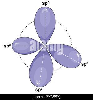 Detailed Vector Illustration of Sp3 Hybridization in Chemistry, Organic Molecules, and Chemical Bonding on White Background Stock Vector