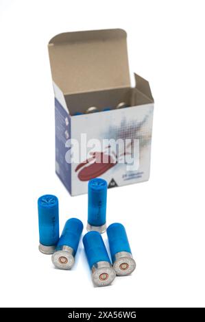 Detail of 12 gauge shotgun shells on white background. Blue shot cartridges for hunting or clay pigeon shooting, behind the cardboard box of 35 units Stock Photo