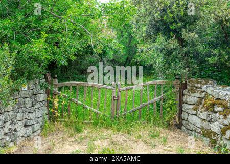 Old wooden rustic gate and stone wall in a green grassy field with trees in the mountains of Sardinia, Italy Stock Photo