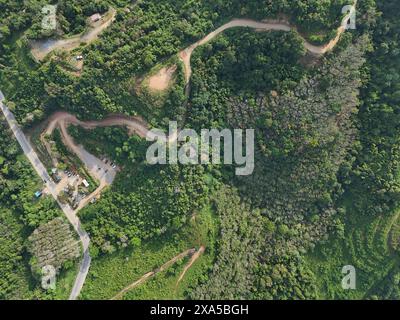 An aerial view of a dirt road winding through lush jungle with dense trees on both sides Stock Photo