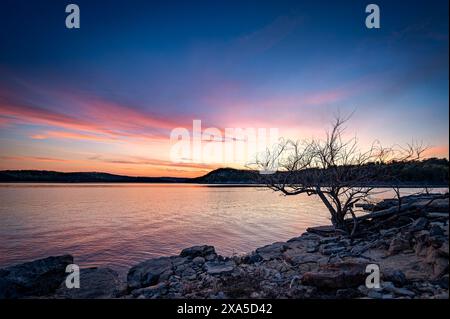 A sun setting behind a tree on a rocky shore Stock Photo