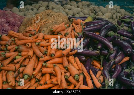 Heaps of freshly harvested organic carrots and eggplants in the foreground, with other vegetables occupying the background sold at the local market Stock Photo