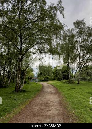 A meandering path through a tree-lined field Stock Photo