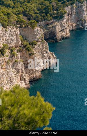 Aerial view of spectacular cliffs with green trees above blue sea shore, Dugi Otok island, National Park Telascica, Croatia Stock Photo