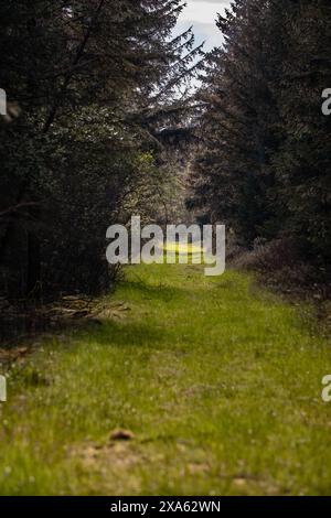 A scenic dirt path through lush green trees under a clear blue sky Stock Photo