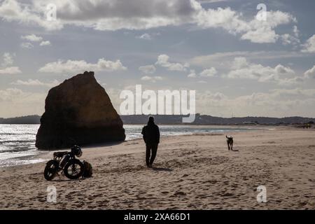 A man strolling on sandy beach with motorcycle and dog Stock Photo