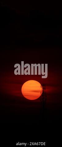 A silhouetted tree against large setting sun in dark sky Stock Photo