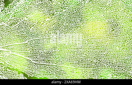 Skeleton green leaf background. Not AI. Vector illustration Stock Vector