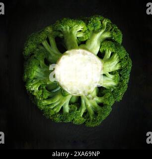 Fresh broccoli florets on a dark background Stock Photo