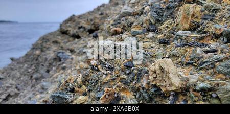 A close-up of rocks by water's edge Stock Photo